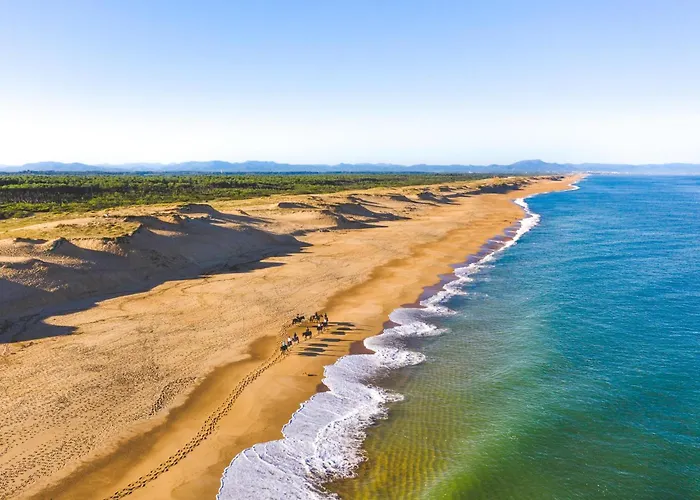Spacieux T3 Cosy Au Coeur D'hossegor *