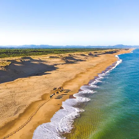 Spacieux T3 Cosy Au Coeur D'hossegor